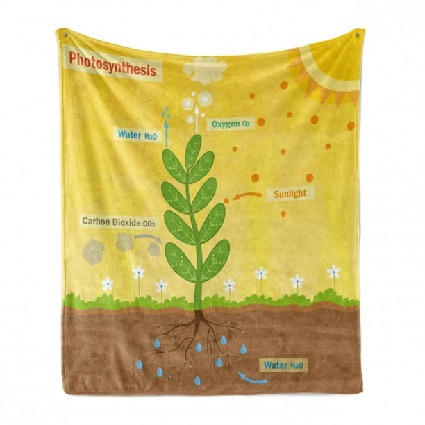Ambesonne Science Soft Flannel Fleece Throw Blanket Cozy Plush for Indoor and Outdoor Use Cartoon Photosynthesis Oxygen Carbon Dioxide Sunlight and Water 70 x 90 Earth Yellow Green Umber 